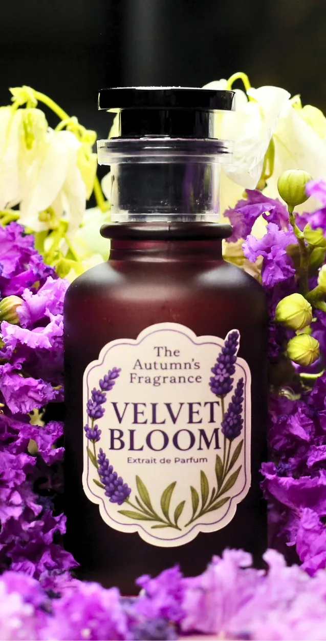 velvet bloom- 0_result