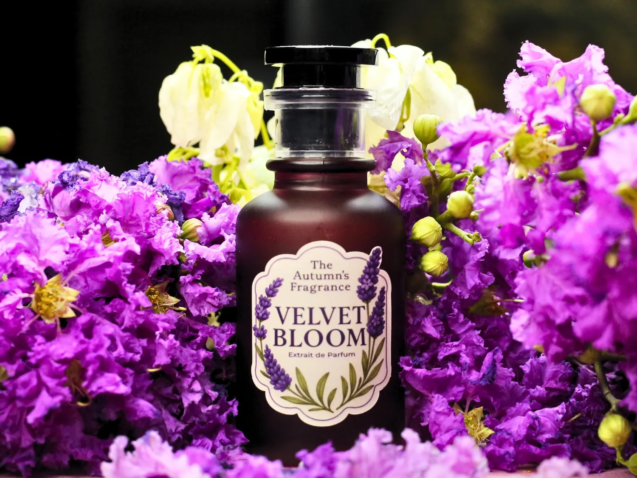 velvet bloom- 0_result